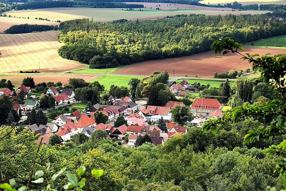 <a href="/worum-es-geht/flaeche-schuetzen/weil-flaechenschutz-und-biodiversitaet-einander-bedingen" target="_self">Weil Flächenschutz und Biodiversität einander bedingen</a>