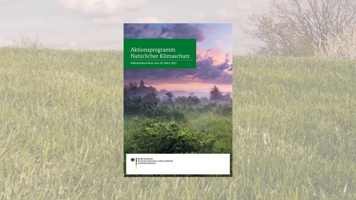 <a href="/nachrichten/aktionsprogramm-natuerlicher-klimaschutz-foerdert-kommunen" target="_self">Aktionsprogramm Natürlicher Klimaschutz fördert Kommunen</a>