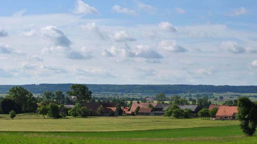 Blick über eine Landschaft mit Feldern, Bäumen und einzelnen Häusern