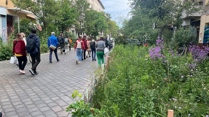 Entsiegelte Seitenflächen in einer Straße