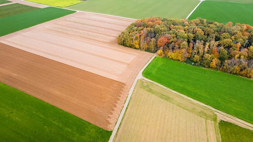Blick über eine Landschaft mit Feldern (Luftbild)