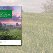 Titelblatt Aktionsprogramm Natürlicher Klimaschutz