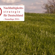 Logo der Nachhaltigkeitsstrategie für Deutschland - Neuauflage 2016